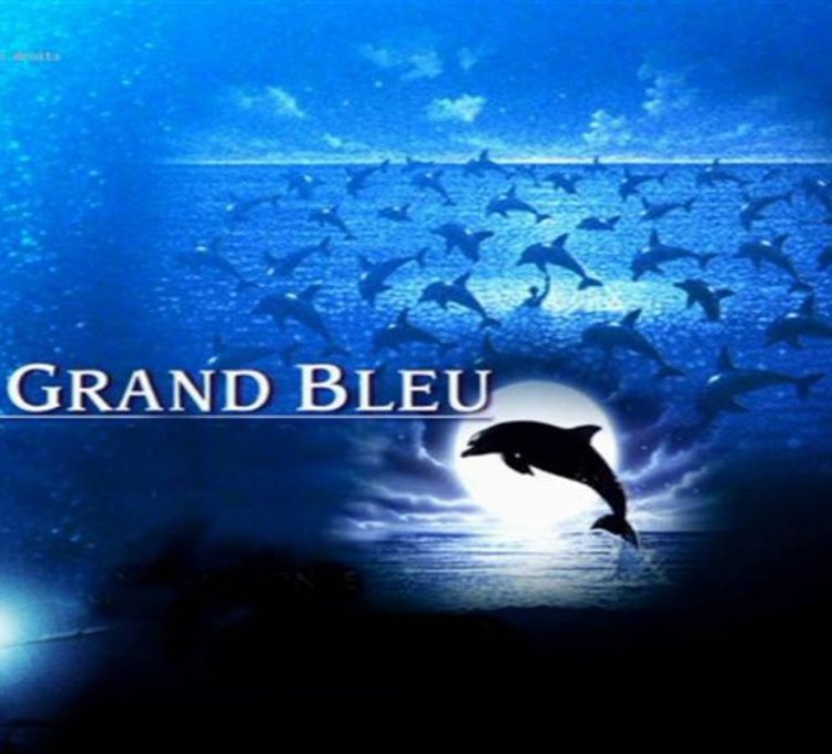LE GRAND BLUE